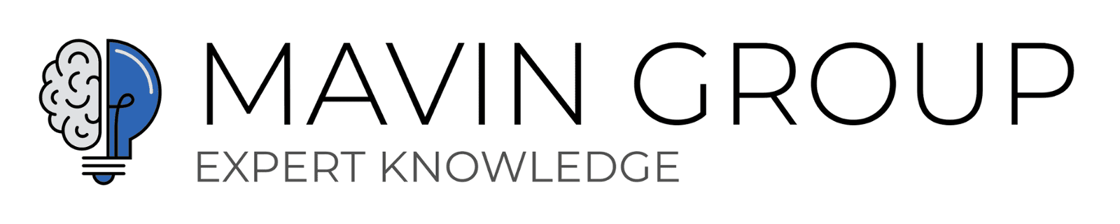 Mavin Group